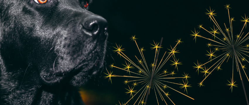 November & December, de maand van... Vuurwerk en Lekkernijen