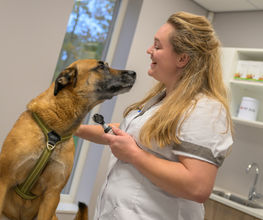 De maand van... mei: Ons Zorgplan